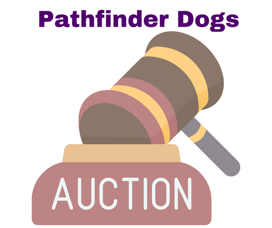 Auction Payment